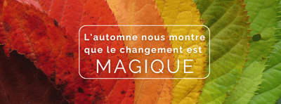 Colorful Autumn Leaves fra